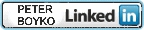 Peter Boyko, Linkedin Profile