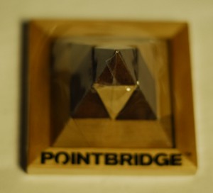 wooden puzzle, pad printing