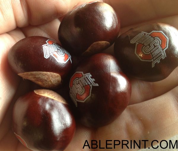 Lucky Buckeyes, pad printing example, AblePrint