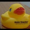 RUBBER DUCKS