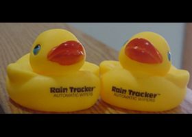 rubber ducks, pad printing 