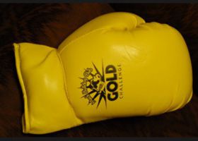 boxing gloves, pad printed example