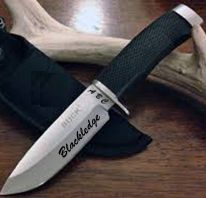 Custom Buck Knives