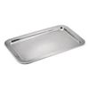 Stainless Steel ss21